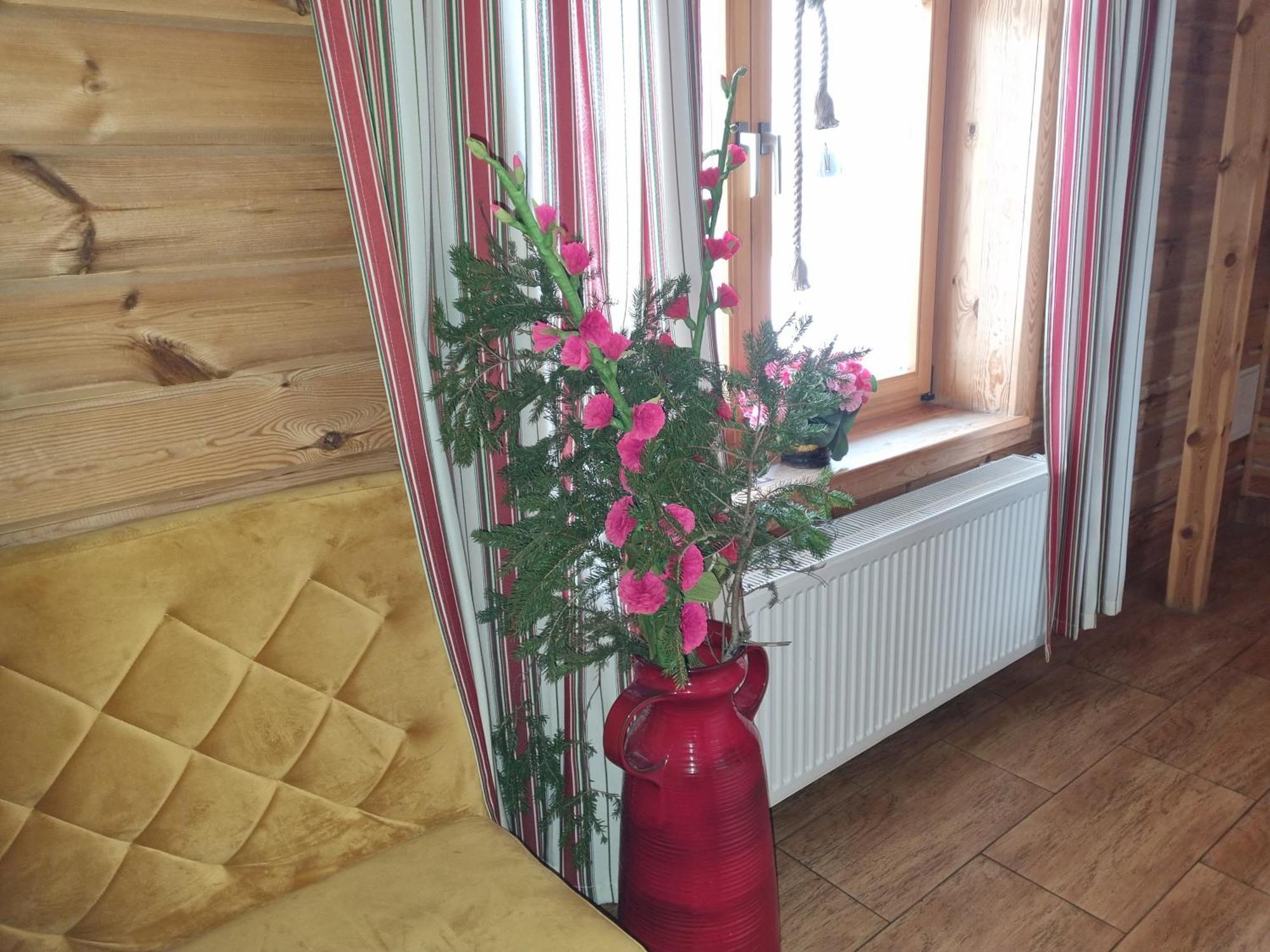 Hotelik Z Mozliwoscia Sniadania "Kur" Myszyniec-Kurpie Экстерьер фото